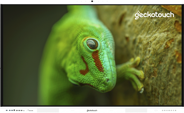 Geckotouch Interactive 98RT