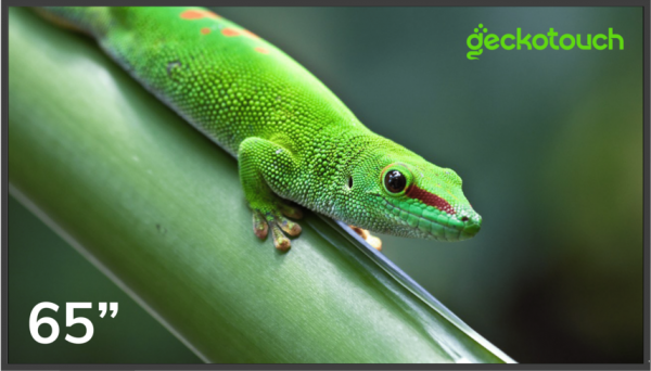 Geckotouch 65DF