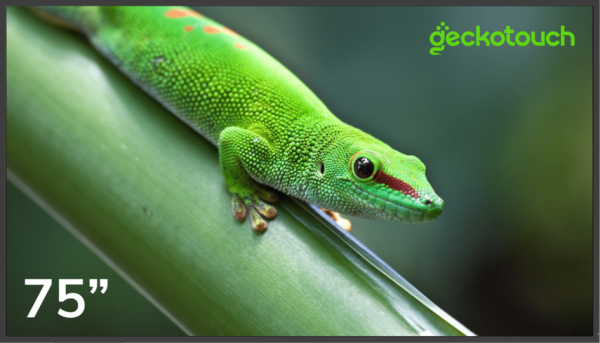 Geckotouch 75DF