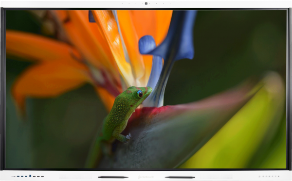 Geckotouch Interactive 65RK