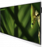 Geckotouch Interactive 98SL