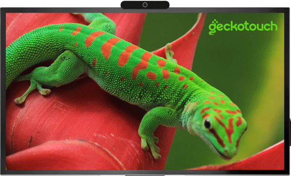 Geckotouch Interactive 86R