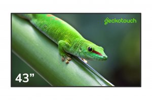 Профессиональный дисплей Geckotouch 43DCR