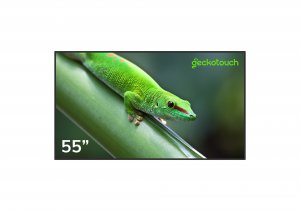 Профессиональный дисплей Geckotouch 55DH