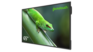 Профессиональный дисплей Geckotouch 65DCR