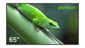 Профессиональный дисплей Geckotouch 65PC