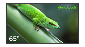 Профессиональный дисплей Geckotouch 65DCR