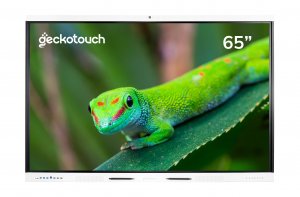 Интерактивный программно-аппаратный комплекс Geckotouch Interactive 65RK