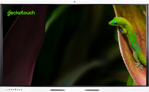 Интерактивный программно-аппаратный комплекс Geckotouch Interactive 75SR